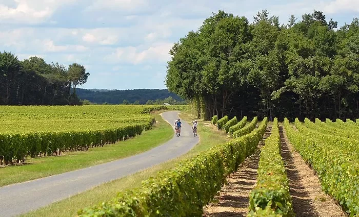 Loire Valley bike tours