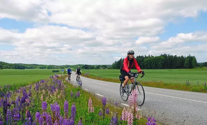 Stockholm to Copenhagen Family Breakaway Bike Tour
