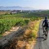 Backroads Guest Biking with Mountain, Town, and Vineyard View