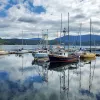Wide shot of sailboats on the water.