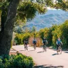 Guests riding past tall flower bushes in desert.