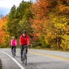 Two guests cycling down road, fall-colored trees to their left.