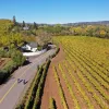 Two guests cycling down vineyard road.