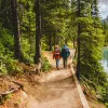 Two guests hiking down forest trail, river or lake to their right.