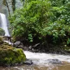 Waterfall  from Trail Costa Rica