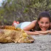 Guest Lying by Iguana Ecuador