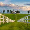 Wide shot of the Kentucky House Farm.