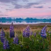 Wide shot of open meadow during sunrise, mountain range, large lake.
