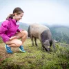 Young guest crouching on hilltop with pig.
