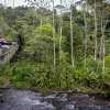 Everyone Looking Down River From Suspension Bridge