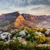 Table mountain National Park
