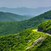 Wide shot of mountain road, overlooking large forested mountains.