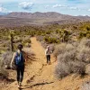 Two guests hiking on desert trail, vast desert landscape all around.