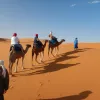 A line of travelers on camels in dunes
