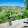 Man riding bike on a road with crops in the distance