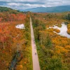 Aerial shot of foliage and a road 