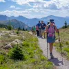 Group of hikers on a gravel trail, surrounded by bushes and plants, with tall mountains in the distance
