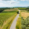 Two people riding bikes on an empty road, surrounding by crop fields