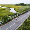 Woman riding a bike on an empty road, with a marsh in the distance