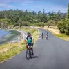 Three people biking on an empty road, with the ocean to the left and large trees in the background