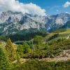 3 hikers descending a trail surrounded by trees and tall mountains