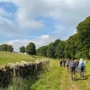 Group of people walking on a grassy trail with a forest to the right