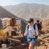 Group of people smiling while hiking next to a white horse