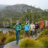 Group of people hiking on a wooden path in a forest