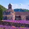 A historic stone abbey stands behind rows of vibrant purple lavender fields in full bloom. Cypress trees frame the building, while wooded hills and a blue sky with scattered clouds create a picturesque countryside backdrop.