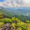 Top of a hill with tropical plants at the top