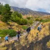 Group of people ascending a dirt trail with large weeds and bushes