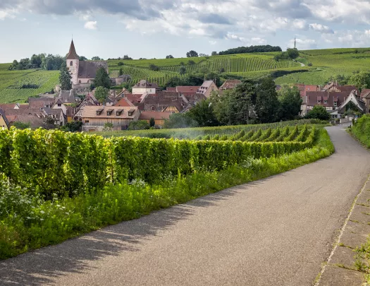 Road to Town in Alsace