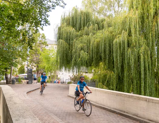 Backroads Guests Biking 