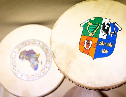 Drum Skin Ireland