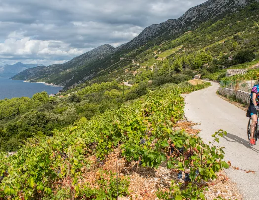 Weekend cycling trips cheap