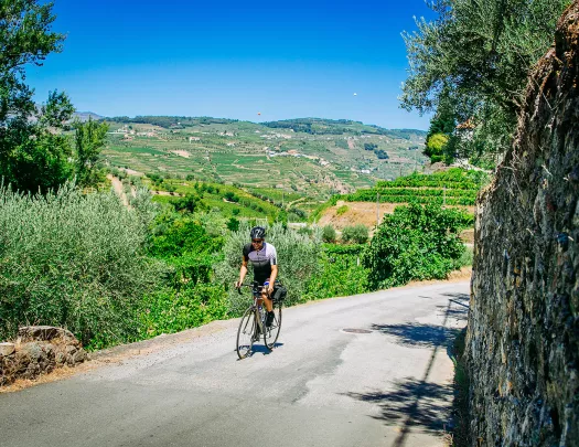 Biker riding on a road along the Douro River.