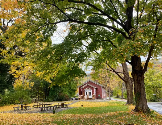 Small red café surrounded by green and yellow trees.