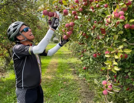 Guest picking crab apples in apple grove.