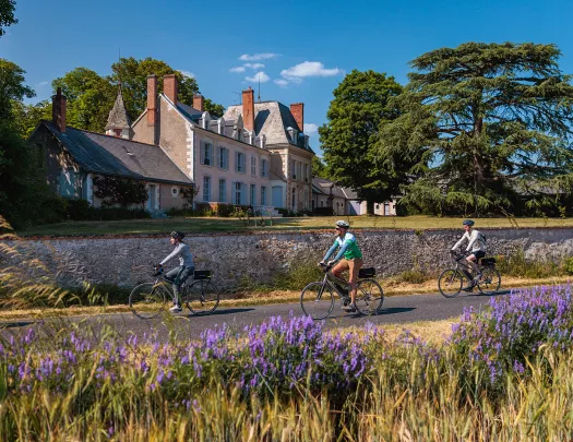 Three guests cycling past French estate, lavender bushes all around.