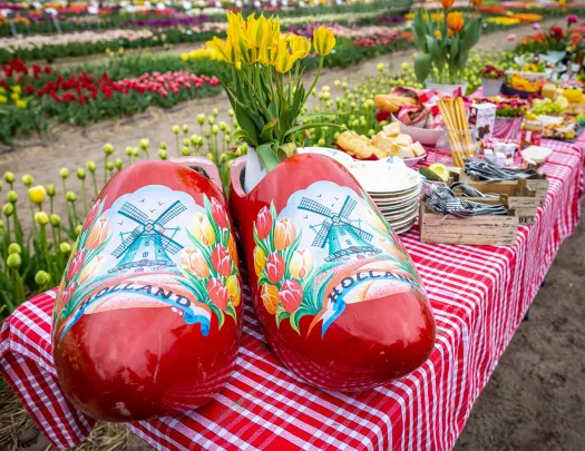 Shot of lunch spread, large clogs, flower beds in background.