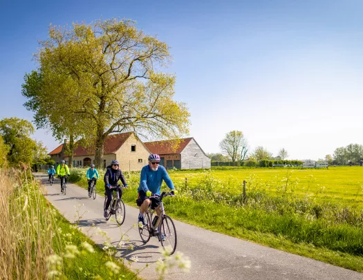 Guests biking in the countryside