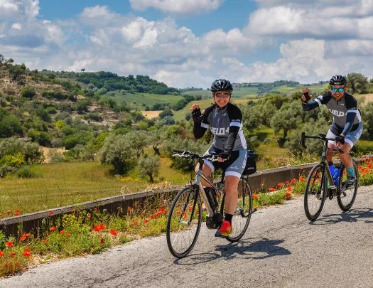 Two waving guests cycling down flower-laden road, bushes and hills in background.