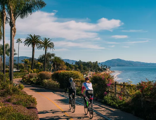 Guests biking along California coast, palm trees beside them.