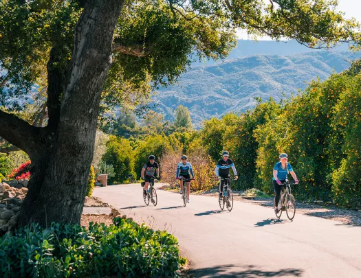 Backroads bicycle tours outlet