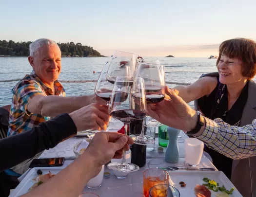POV shot of guests cheersing wine glasses, ocean, hills behind them.