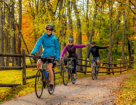 Three guests cycling down forest road, all smiling at camera, two signaling left turn.