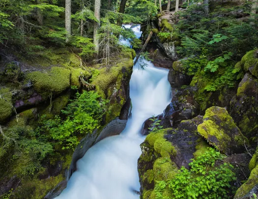 Scenic waterfall surrounded by lush green forest