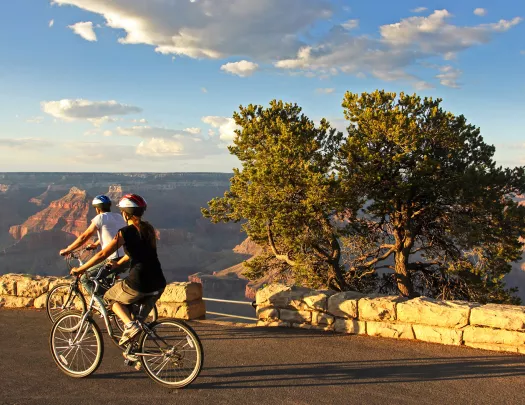 Two cyclists overlooking Grand Canyon.