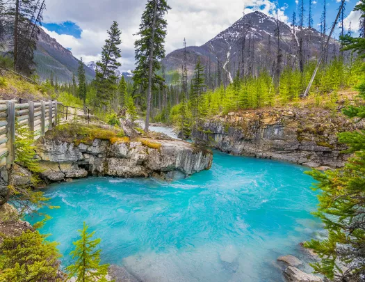 Shot of vibrant blue pool ion the wild, wooden bridge, trees, mountains.