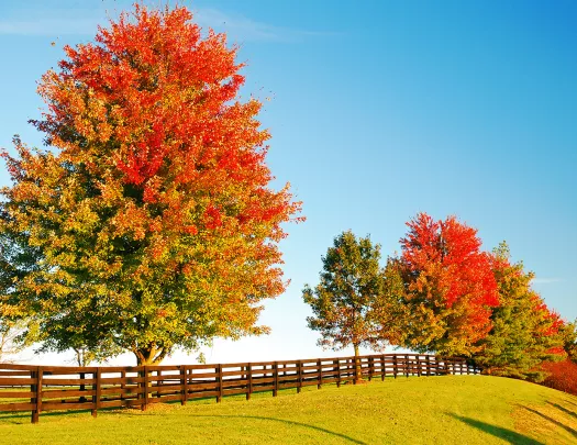 US Biking, Hiking & Adventure Tours Backroads Active Travel Company